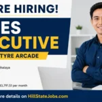Sales Executive Vacancy at TYRE ARCADE, Shillong